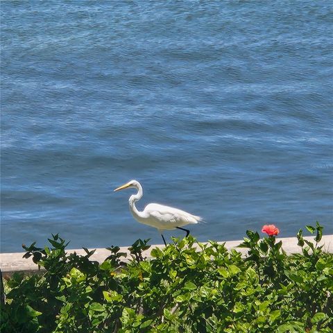 777 JOHN RINGLING BOULEVARD 24, Sarasota, FL 34236