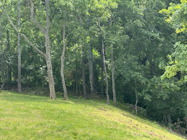1121 Harpeth Ridge Rd, Franklin, TN 37069