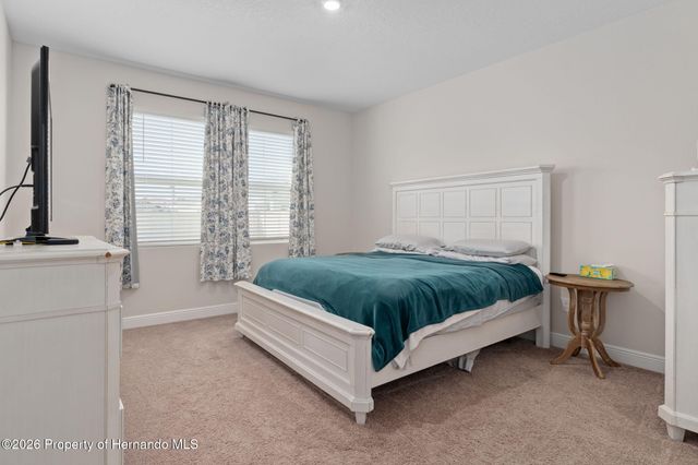 10353 Fieldstone Myrtle Way, San Antonio, FL 33576