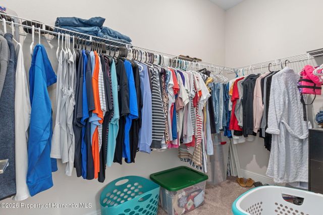 10353 Fieldstone Myrtle Way, San Antonio, FL 33576