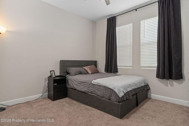 10353 Fieldstone Myrtle Way, San Antonio, FL 33576