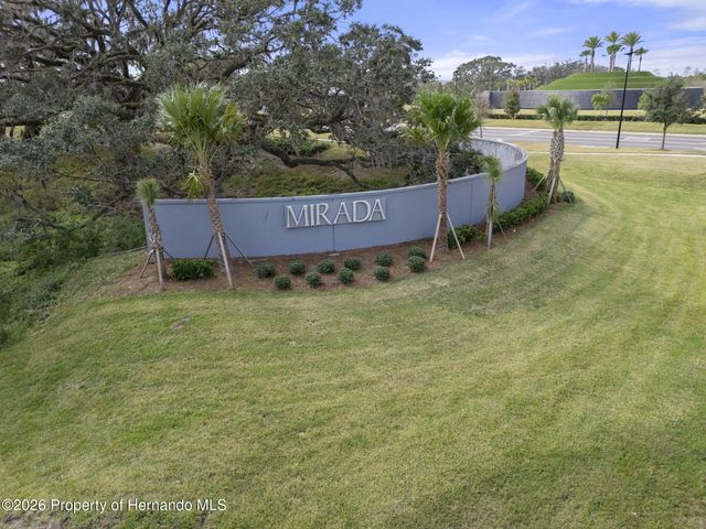 10353 Fieldstone Myrtle Way, San Antonio, FL 33576