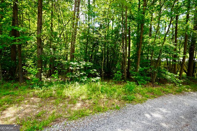 238 & 248 Cain Bridge Heights, Dahlonega, GA 30533