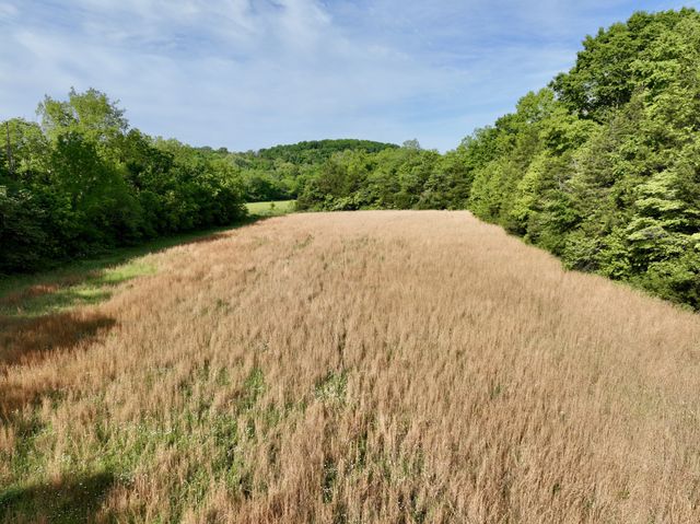 1 Fattybread Branch Rd, Williamsport, TN 38487