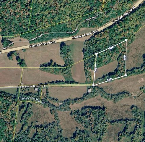 1 Fattybread Branch Rd, Williamsport, TN 38487