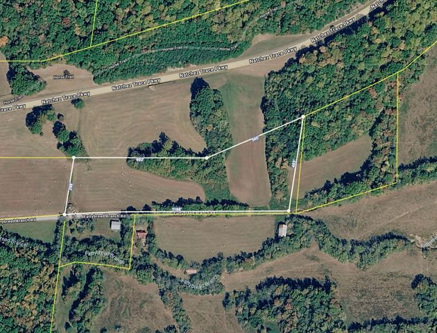 1 Fattybread Branch Rd, Williamsport, TN 38487