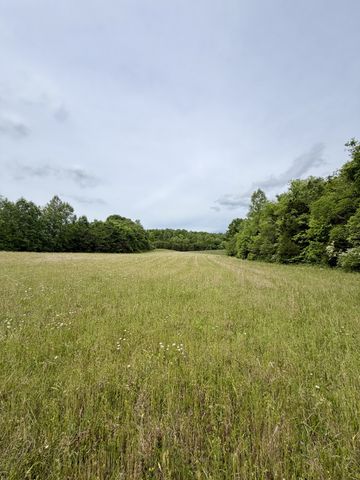 1 Fattybread Branch Rd, Williamsport, TN 38487