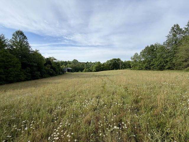 1 Fattybread Branch Rd, Williamsport, TN 38487