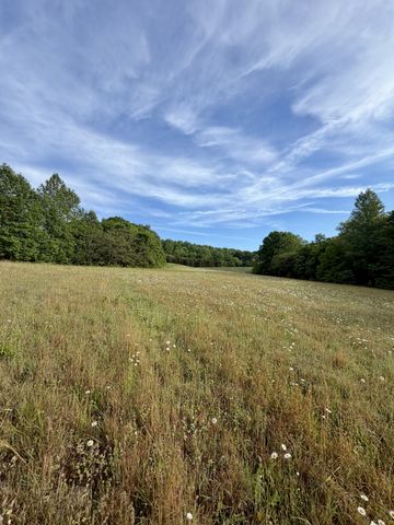 1 Fattybread Branch Rd, Williamsport, TN 38487
