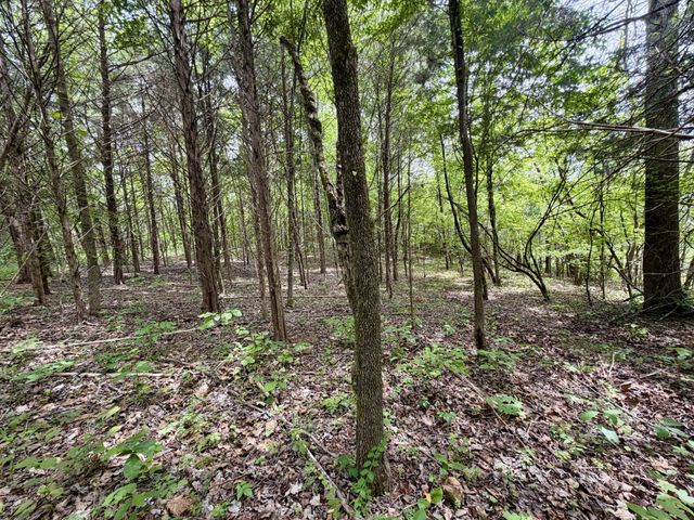1 Fattybread Branch Rd, Williamsport, TN 38487