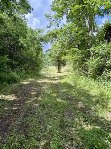 1 Fattybread Branch Rd, Williamsport, TN 38487