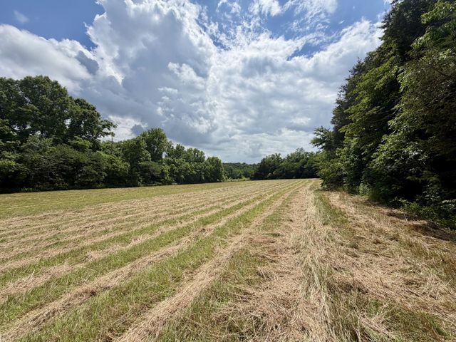 1 Fattybread Branch Rd, Williamsport, TN 38487