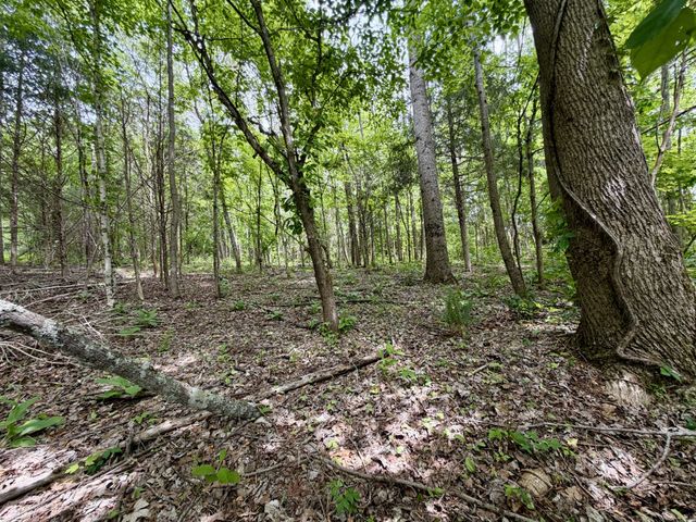 1 Fattybread Branch Rd, Williamsport, TN 38487