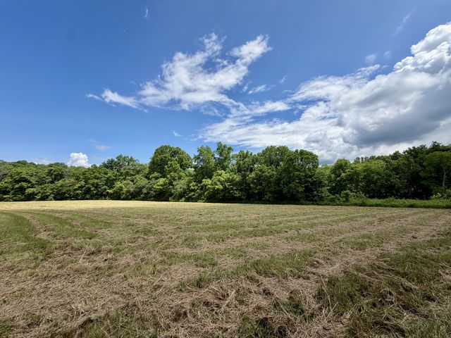 1 Fattybread Branch Rd, Williamsport, TN 38487