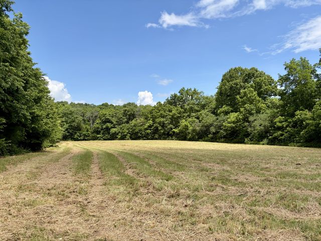 1 Fattybread Branch Rd, Williamsport, TN 38487