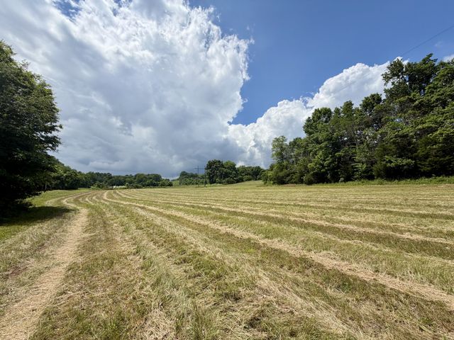 1 Fattybread Branch Rd, Williamsport, TN 38487