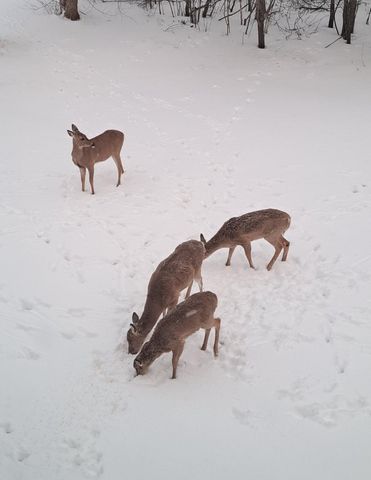 3361 120th Circle NE, Blaine, MN 55449