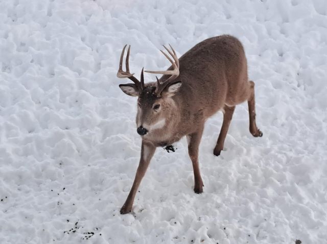 3361 120th Circle NE, Blaine, MN 55449