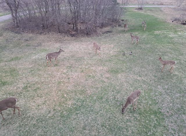 3361 120th Circle NE, Blaine, MN 55449