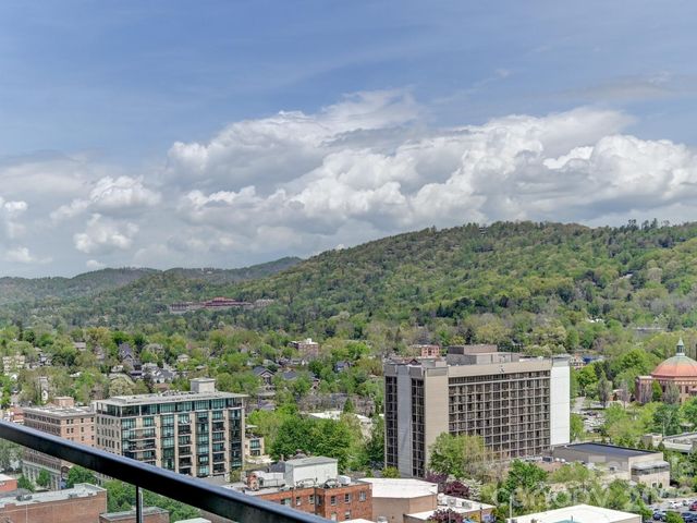 7 Patton Avenue 1103, Asheville, NC 28801