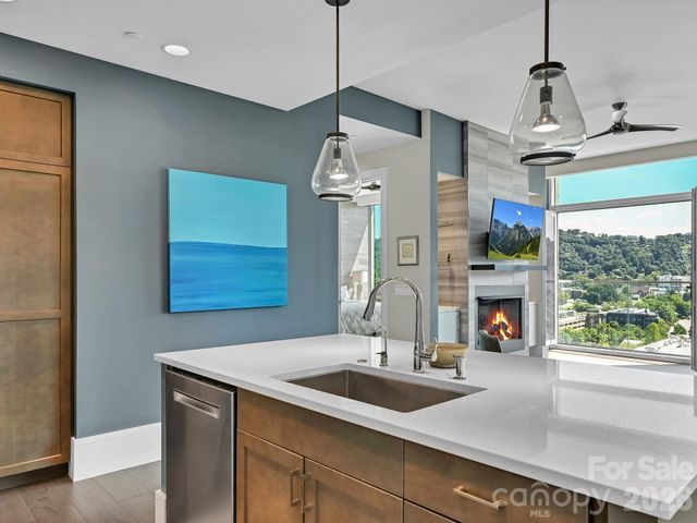 7 Patton Avenue 1103, Asheville, NC 28801