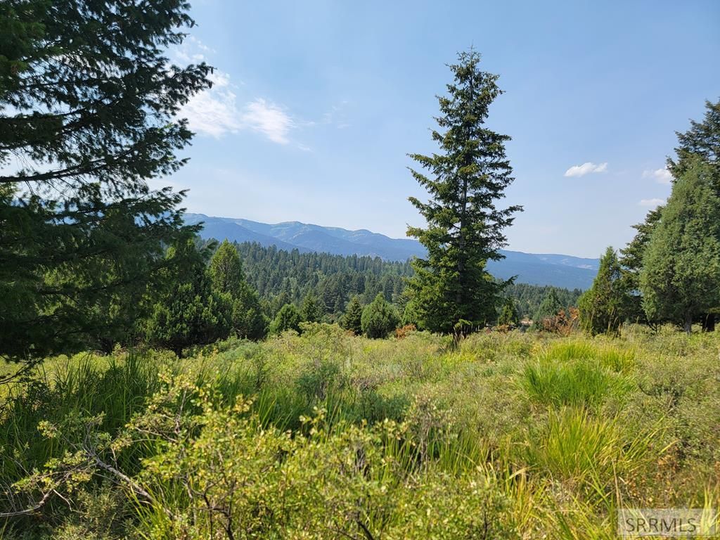 L61 B4 Cutthroat Run, Irwin, ID 83428