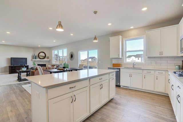 1698 Oak Creek Pass, Chaska, MN 55318