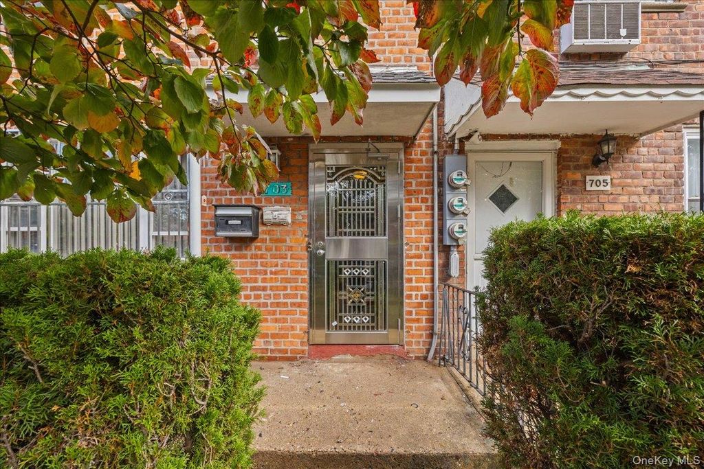 703 Autumn Avenue, Brooklyn, NY 11208 — photo 2