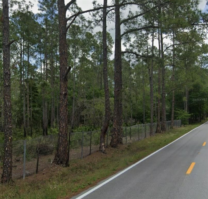 POYNER OAKS ROAD N, Polk City, FL 33868
