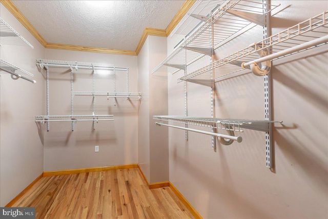 906 CAUTHORN MILL DR, Middletown, VA 22645