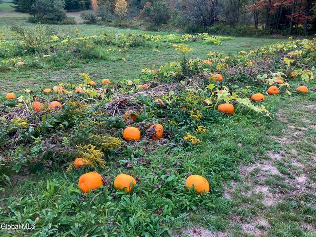 1841 State Route 10, Jefferson, NY 12093