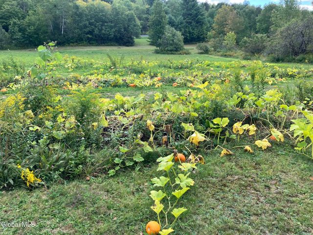 1841 State Route 10, Jefferson, NY 12093