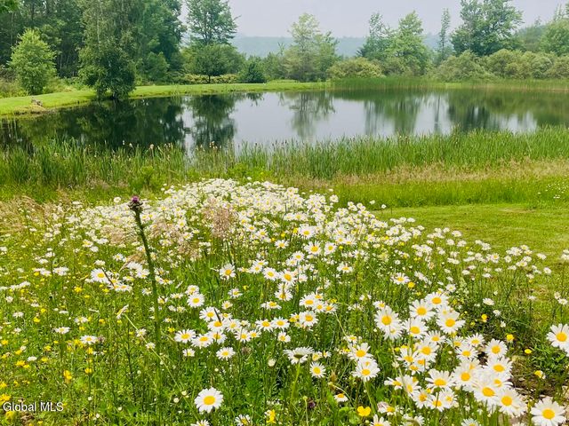 1841 State Route 10, Jefferson, NY 12093