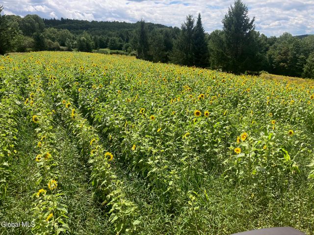 1841 State Route 10, Jefferson, NY 12093