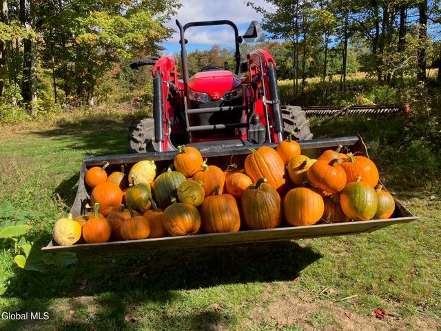 1841 State Route 10, Jefferson, NY 12093