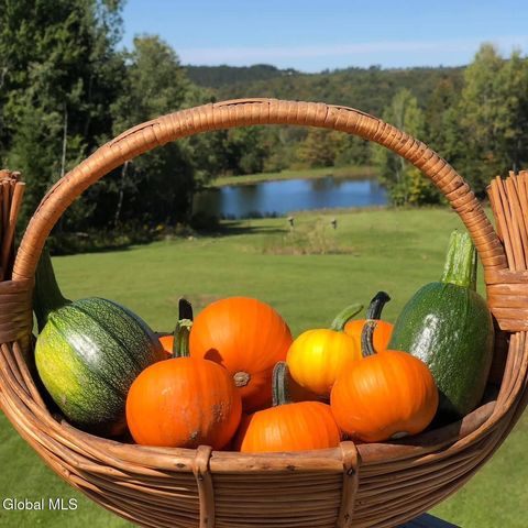 1841 State Route 10, Jefferson, NY 12093