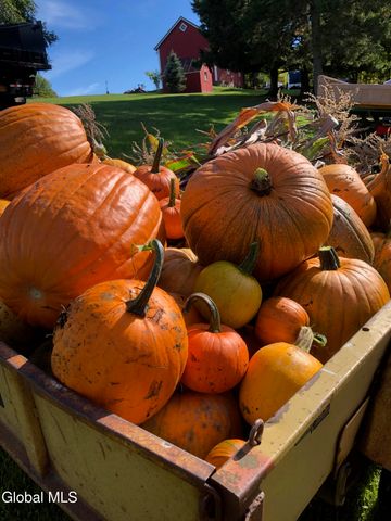 1841 State Route 10, Jefferson, NY 12093