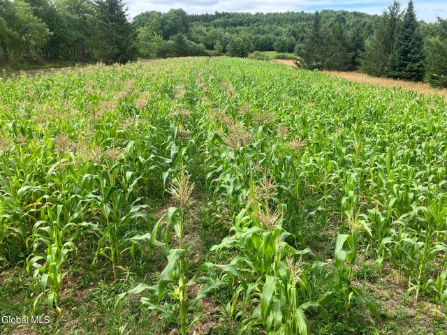 1841 State Route 10, Jefferson, NY 12093