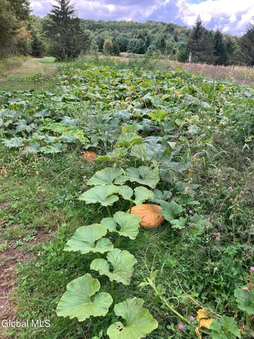 1841 State Route 10, Jefferson, NY 12093