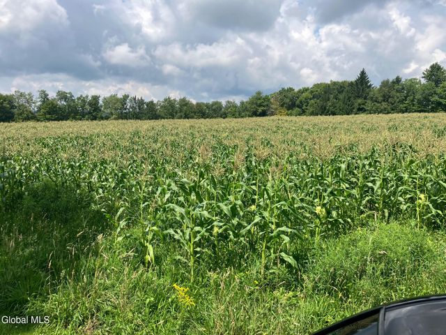 1841 State Route 10, Jefferson, NY 12093