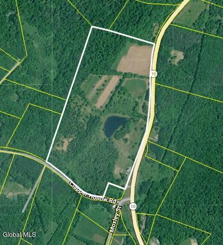 1841 State Route 10, Jefferson, NY 12093