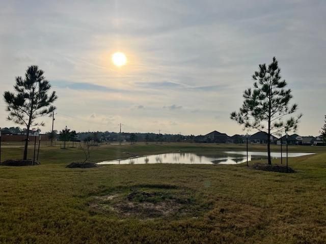 16905 Rich Pines Drive, Conroe, TX 77302