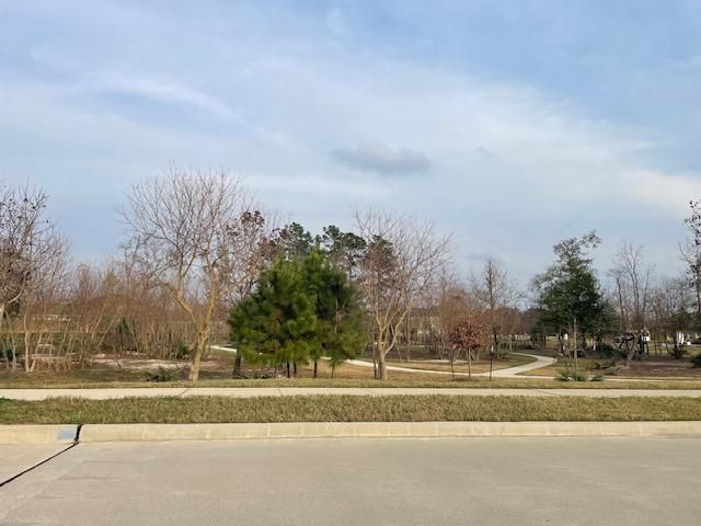 16905 Rich Pines Drive, Conroe, TX 77302