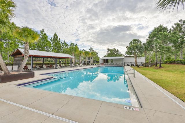 3005 PULLER TRAIL, Odessa, FL 33556