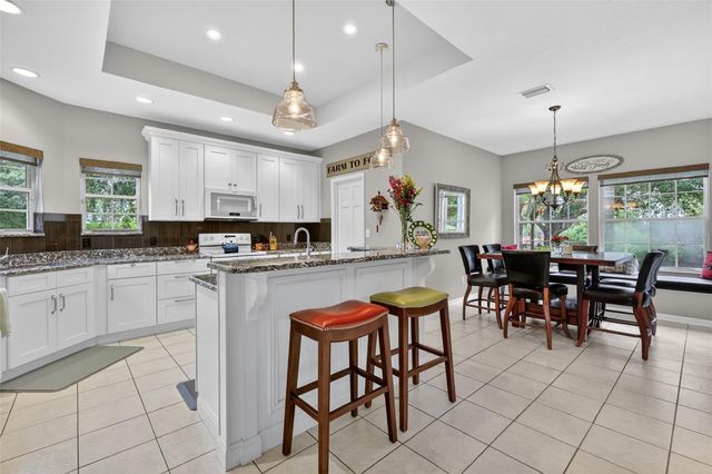 20514 BILL COLLINS ROAD, Eustis, FL 32736