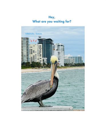 750 N Ocean Boulevard 1105, Pompano Beach, FL 33062