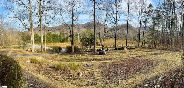 741 Gap Creek Road, Marietta, SC 29661