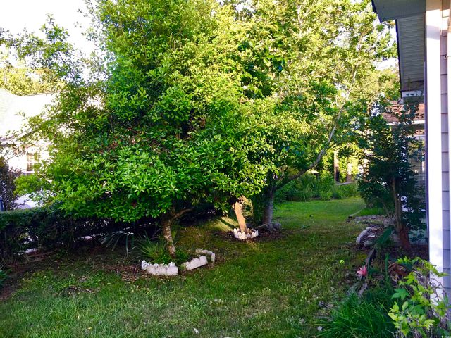 131 Goodale Dr., Longs, SC 29568