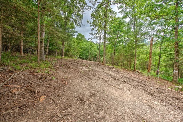 Lot 6 Eagle Cove Road, Eureka Springs, AR 72631