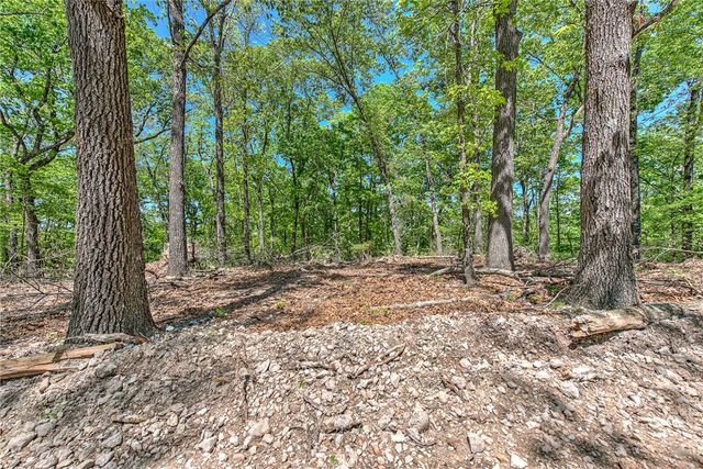 Lot 6 Eagle Cove Road, Eureka Springs, AR 72631